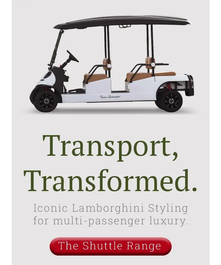 Shuttle Range Cart Charging